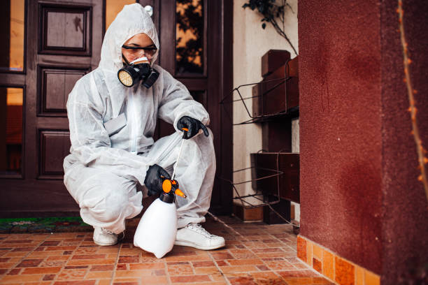 Attic and Crawl Space Rodent Treatment in Nazareth College