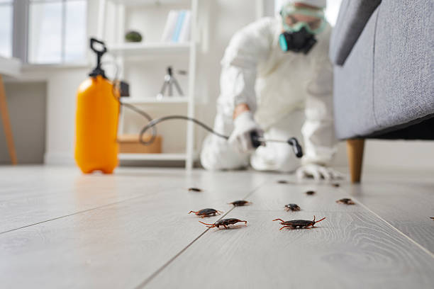 Commercial Rodent Management in Nazareth College